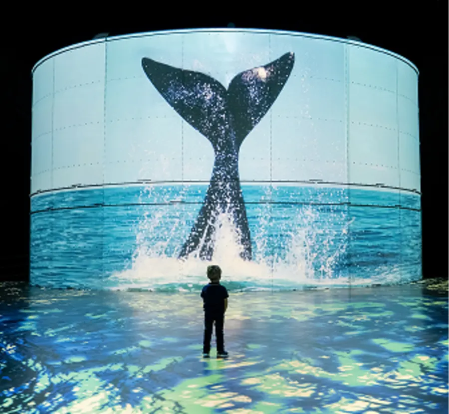 PLUNGE INTO THE DEEP